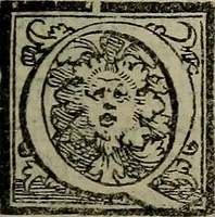Picture 20 of 50 from Epitomes omnium Galeni Pergameni operum, vniuersam illius viri doctrinam, & methodu[m], quàm accuratissimè contine[n]tis, sectio prima-[quarta] (1548), leaf 262