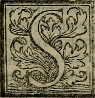 Picture 24 of 50 from Epitomes omnium Galeni Pergameni operum, vniuersam illius viri doctrinam, & methodu[m], quàm accuratissimè contine[n]tis, sectio prima-[quarta] (1548), leaf 305