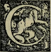 An illustration from Epitomes omnium Galeni Pergameni operum, vniuersam illius viri doctrinam, & methodu[m], quàm accuratissimè contine[n]tis, sectio prima-[quarta] (1548)