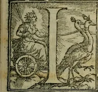 An illustration from Epitomes omnium Galeni Pergameni operum, vniuersam illius viri doctrinam, & methodu[m], quàm accuratissimè contine[n]tis, sectio prima-[quarta] (1548)