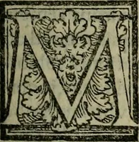 An illustration from Epitomes omnium Galeni Pergameni operum, vniuersam illius viri doctrinam, & methodu[m], quàm accuratissimè contine[n]tis, sectio prima-[quarta] (1548)
