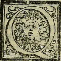 Picture 18 of 40 from Epitomes omnium Galeni Pergameni operum, vniuersam illius viri doctrinam, & methodu[m], quàm accuratissimè contine[n]tis, sectio prima-[quarta] (1548), leaf 233