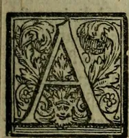 An illustration from Epitomes omnium Galeni Pergameni operum, vniuersam illius viri doctrinam, & methodu[m], quàm accuratissimè contine[n]tis, sectio prima-[quarta] (1548)
