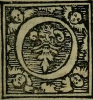 An illustration from Epitomes omnium Galeni Pergameni operum, vniuersam illius viri doctrinam, & methodu[m], quàm accuratissimè contine[n]tis, sectio prima-[quarta] (1548)