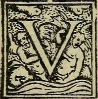 An illustration from Epitomes omnium Galeni Pergameni operum, vniuersam illius viri doctrinam, & methodu[m], quàm accuratissimè contine[n]tis, sectio prima-[quarta] (1548)