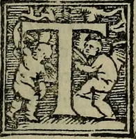 An illustration from Epitomes omnium Galeni Pergameni operum, vniuersam illius viri doctrinam, & methodu[m], quàm accuratissimè contine[n]tis, sectio prima-[quarta] (1548)