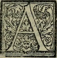 An illustration from Epitomes omnium Galeni Pergameni operum, vniuersam illius viri doctrinam, & methodu[m], quàm accuratissimè contine[n]tis, sectio prima-[quarta] (1548)