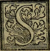 An illustration from Epitomes omnium Galeni Pergameni operum, vniuersam illius viri doctrinam, & methodu[m], quàm accuratissimè contine[n]tis, sectio prima-[quarta] (1548)