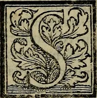 An illustration from Epitomes omnium Galeni Pergameni operum, vniuersam illius viri doctrinam, & methodu[m], quàm accuratissimè contine[n]tis, sectio prima-[quarta] (1548)