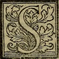 An illustration from Epitomes omnium Galeni Pergameni operum, vniuersam illius viri doctrinam, & methodu[m], quàm accuratissimè contine[n]tis, sectio prima-[quarta] (1548)