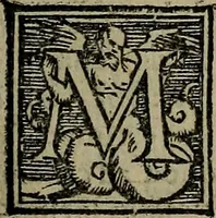 An illustration from Epitomes omnium Galeni Pergameni operum, vniuersam illius viri doctrinam, & methodu[m], quàm accuratissimè contine[n]tis, sectio prima-[quarta] (1548)
