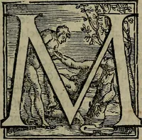 An illustration from Epitomes omnium Galeni Pergameni operum, vniuersam illius viri doctrinam, & methodu[m], quàm accuratissimè contine[n]tis, sectio prima-[quarta] (1548)