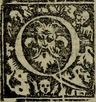 An illustration from Epitomes omnium Galeni Pergameni operum, vniuersam illius viri doctrinam, & methodu[m], quàm accuratissimè contine[n]tis, sectio prima-[quarta] (1548)