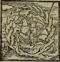 An illustration from Epitomes omnium Galeni Pergameni operum, vniuersam illius viri doctrinam, & methodu[m], quàm accuratissimè contine[n]tis, sectio prima-[quarta] (1548)