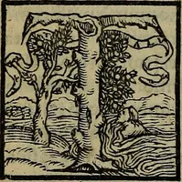 An illustration from Epitomes omnium Galeni Pergameni operum, vniuersam illius viri doctrinam, & methodu[m], quàm accuratissimè contine[n]tis, sectio prima-[quarta] (1548)