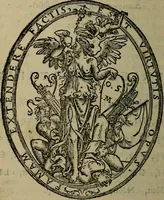 An illustration from Epitomes omnium Galeni Pergameni operum, vniuersam illius viri doctrinam, & methodu[m], quàm accuratissimè contine[n]tis, sectio prima-[quarta] (1548)