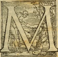 An illustration from Epitomes omnium Galeni Pergameni operum, vniuersam illius viri doctrinam, & methodu[m], quàm accuratissimè contine[n]tis, sectio prima-[quarta] (1548)