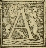An illustration from Epitomes omnium Galeni Pergameni operum, vniuersam illius viri doctrinam, & methodu[m], quàm accuratissimè contine[n]tis, sectio prima-[quarta] (1548)