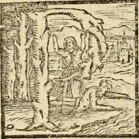 An illustration from Epitomes omnium Galeni Pergameni operum, vniuersam illius viri doctrinam, & methodu[m], quàm accuratissimè contine[n]tis, sectio prima-[quarta] (1548)