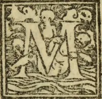 An illustration from Epitomes omnium Galeni Pergameni operum, vniuersam illius viri doctrinam, & methodu[m], quàm accuratissimè contine[n]tis, sectio prima-[quarta] (1548)