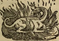 An illustration from Epitomes omnium Galeni Pergameni operum, vniuersam illius viri doctrinam, & methodu[m], quàm accuratissimè contine[n]tis, sectio prima-[quarta] (1548)