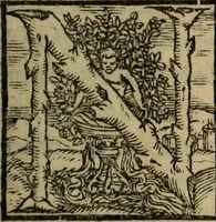 An illustration from Epitomes omnium Galeni Pergameni operum, vniuersam illius viri doctrinam, & methodu[m], quàm accuratissimè contine[n]tis, sectio prima-[quarta] (1548)