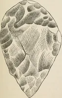 An illustration from The epoch of the mammoth and the apparition of man upon the earth (1878)