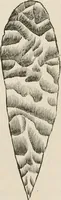 An illustration from The epoch of the mammoth and the apparition of man upon the earth (1878)