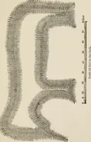 An illustration from The epoch of the mammoth and the apparition of man upon the earth (1878)