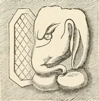 Picture 30 of 42 from The epoch of the mammoth and the apparition of man upon the earth (1878), leaf 188