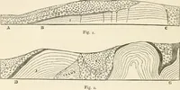 An illustration from The epoch of the mammoth and the apparition of man upon the earth (1878)