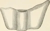 An illustration from The epoch of the mammoth and the apparition of man upon the earth (1878)