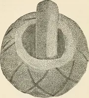 An illustration from The epoch of the mammoth and the apparition of man upon the earth (1878)