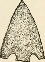 An illustration from The epoch of the mammoth and the apparition of man upon the earth (1878)