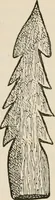An illustration from The epoch of the mammoth and the apparition of man upon the earth (1878)