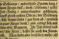 An illustration from Erasmi Francisci Guineischer und americanischer Blumen-Pusch: welcher einen ergetzlichen Geruch mancherley mercklicher Eigenschafften, wunderlicher Thiere, Vögel, Fische, fremder Weisen, Sitten, Gebräuche selbiger Länder; u.a.m. imgleichen aller Königer in Peru und Mexico Geschichten und denckwürdigen Verrichtungen von sich streuet. : Nebenst beygedrucktem Anhang der, hiebey zugleich neu-auffgelegten, Michael Hemmersams sel. Guineisch-und West-indianischen Reisebeschreibung (1669)
