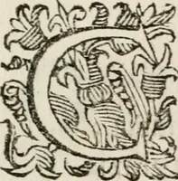 Picture 25 of 30 from Ercole in Tebe; festa teatrale rappresentata in Firenze per le reali nozze de' serenissimi sposi Cosimo terzo, principe di Toscana, e Margherita Lvisa, principessa d'Orleans (1661), leaf 102