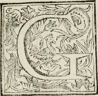 Picture 5 of 30 from Ercole in Tebe; festa teatrale rappresentata in Firenze per le reali nozze de' serenissimi sposi Cosimo terzo, principe di Toscana, e Margherita Lvisa, principessa d'Orleans (1661), leaf 12
