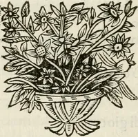 Picture 9 of 30 from Ercole in Tebe; festa teatrale rappresentata in Firenze per le reali nozze de' serenissimi sposi Cosimo terzo, principe di Toscana, e Margherita Lvisa, principessa d'Orleans (1661), leaf 25