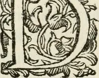 Picture 20 of 30 from Ercole in Tebe; festa teatrale rappresentata in Firenze per le reali nozze de' serenissimi sposi Cosimo terzo, principe di Toscana, e Margherita Lvisa, principessa d'Orleans (1661), leaf 73