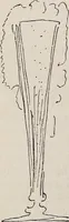 An illustration from Erinnerungen an Wilhelm von Kaulbach und sein Haus : mit Briefen und hundertsechzig Abbildungen (1921)