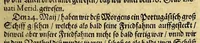 An illustration from Erste Schiffart[.] In die Orientalische Indien, so die holländische Schiff, im Martio 1595. aussgefahren, vnd im Augusto 1597. wiederkommen, verricht. : Darinn kürtzlich, doch wahrhafftiglich der gantze Success der Reyse erzehlet wird. Mit etlichen nöthigen Erklärung, Carten vnd Figuren gezieret (1625)