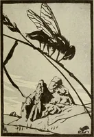 An illustration from Erstes Verzeichnis der Radierunger, Lithographien und Holzschnitte moderner Graphiker : welche meist in Handdrucken und signiert auf der Vertriebsstelle vorrätig sind (1904)