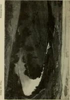 An illustration from Erstes Verzeichnis der Radierunger, Lithographien und Holzschnitte moderner Graphiker : welche meist in Handdrucken und signiert auf der Vertriebsstelle vorrätig sind (1904)
