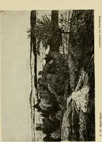 An illustration from Erstes Verzeichnis der Radierunger, Lithographien und Holzschnitte moderner Graphiker : welche meist in Handdrucken und signiert auf der Vertriebsstelle vorrätig sind (1904)