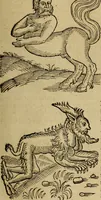 An illustration from Erste Theil der Hoffhaltung des Türckhischen Keysers vnd Othomañischen Reichs Beschreibung : darinn nicht allein der Türcken Empter ... sonder auch aller Türckischen Keysern Namen, Thaten, Krieg vnd Handel, so sie wider die Christen vnd Heyden haben verbracht, biss auff diss M.D.LXXVIII. Jar erstreckt vnd aussgeführet, auff das fleissigst verzeichnet vnd beschrieben : dessgleichen von der Türcken Aberglauben, Religion, Gottesdienst vnd Ceremonien ... : der ander Theil, wahrhaffte Beschreibung aller namhafften Geschichten, Thaten, Handlungen, Krieg ... so sich zwischen den Turcken vnd Christen vom Jar M.D.XX. biss auff das M.D.LXXVIII. Jar ... haben verloffen vnd zugetragen (1578)