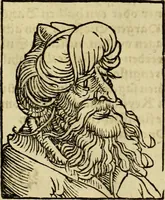 An illustration from Erste Theil der Hoffhaltung des Türckhischen Keysers vnd Othomañischen Reichs Beschreibung : darinn nicht allein der Türcken Empter ... sonder auch aller Türckischen Keysern Namen, Thaten, Krieg vnd Handel, so sie wider die Christen vnd Heyden haben verbracht, biss auff diss M.D.LXXVIII. Jar erstreckt vnd aussgeführet, auff das fleissigst verzeichnet vnd beschrieben : dessgleichen von der Türcken Aberglauben, Religion, Gottesdienst vnd Ceremonien ... : der ander Theil, wahrhaffte Beschreibung aller namhafften Geschichten, Thaten, Handlungen, Krieg ... so sich zwischen den Turcken vnd Christen vom Jar M.D.XX. biss auff das M.D.LXXVIII. Jar ... haben verloffen vnd zugetragen (1578)