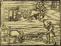 Picture 64 of 442 from Erste Theil der Hoffhaltung des Türckhischen Keysers vnd Othomañischen Reichs Beschreibung : darinn nicht allein der Türcken Empter ... sonder auch aller Türckischen Keysern Namen, Thaten, Krieg vnd Handel, so sie wider die Christen vnd Heyden haben verbracht, biss auff diss M.D.LXXVIII. Jar erstreckt vnd aussgeführet, auff das fleissigst verzeichnet vnd beschrieben : dessgleichen von der Türcken Aberglauben, Religion, Gottesdienst vnd Ceremonien ... : der ander Theil, wahrhaffte Beschreibung aller namhafften Geschichten, Thaten, Handlungen, Krieg ... so sich zwischen den Turcken vnd Christen vom Jar M.D.XX. biss auff das M.D.LXXVIII. Jar ... haben verloffen vnd zugetragen (1578), leaf 55