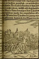 An illustration from Erste Theil der Hoffhaltung des Türckhischen Keysers vnd Othomañischen Reichs Beschreibung : darinn nicht allein der Türcken Empter ... sonder auch aller Türckischen Keysern Namen, Thaten, Krieg vnd Handel, so sie wider die Christen vnd Heyden haben verbracht, biss auff diss M.D.LXXVIII. Jar erstreckt vnd aussgeführet, auff das fleissigst verzeichnet vnd beschrieben : dessgleichen von der Türcken Aberglauben, Religion, Gottesdienst vnd Ceremonien ... : der ander Theil, wahrhaffte Beschreibung aller namhafften Geschichten, Thaten, Handlungen, Krieg ... so sich zwischen den Turcken vnd Christen vom Jar M.D.XX. biss auff das M.D.LXXVIII. Jar ... haben verloffen vnd zugetragen (1578)