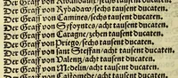 Picture 2 of 5 from Erzelung der Künigreych in Hispanien auch der selben järlich nutzung und einkom[m]ens mit sampt de[n] herschafften dem selben Künigreych zügehörig. : Mer ein alte Prophecey Kay. Carl betreffend (1532), leaf 14